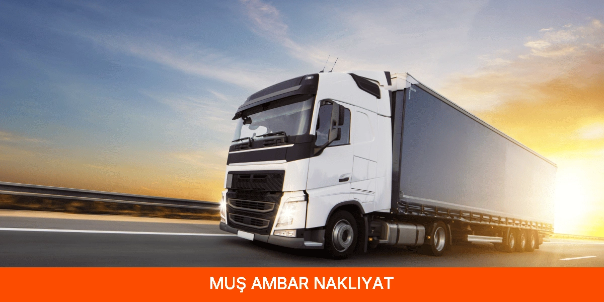 Muş Ambar Nakliyat
