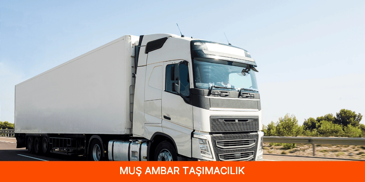 Muş Ambar Taşımacılık