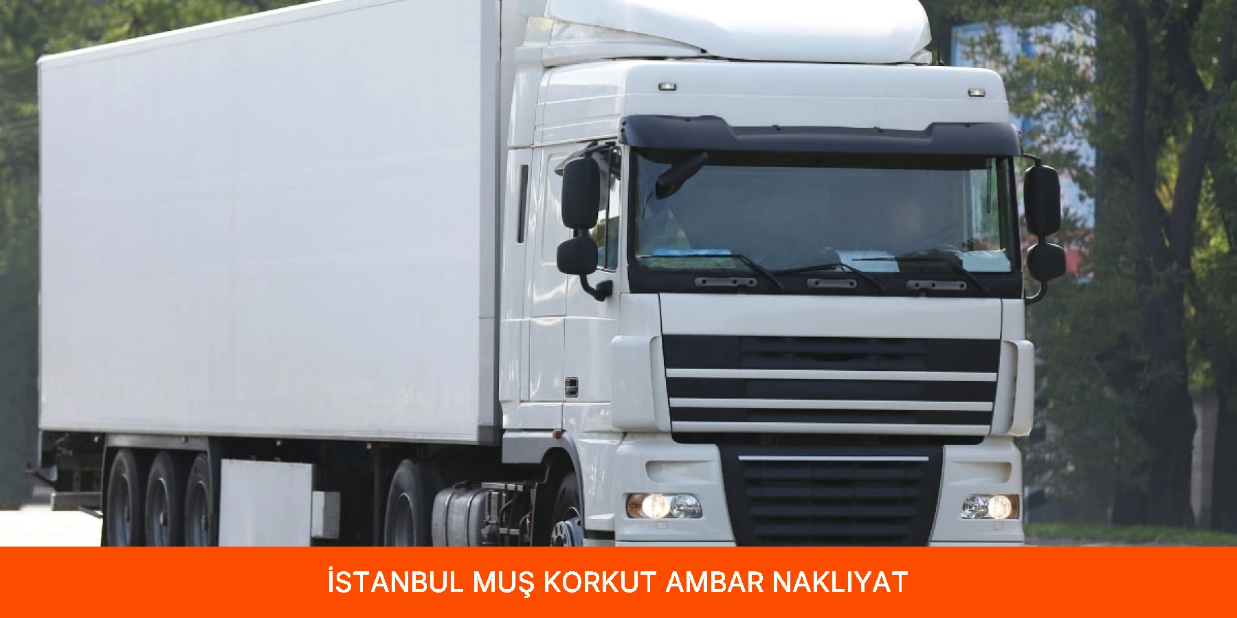 Korkut Ambar
