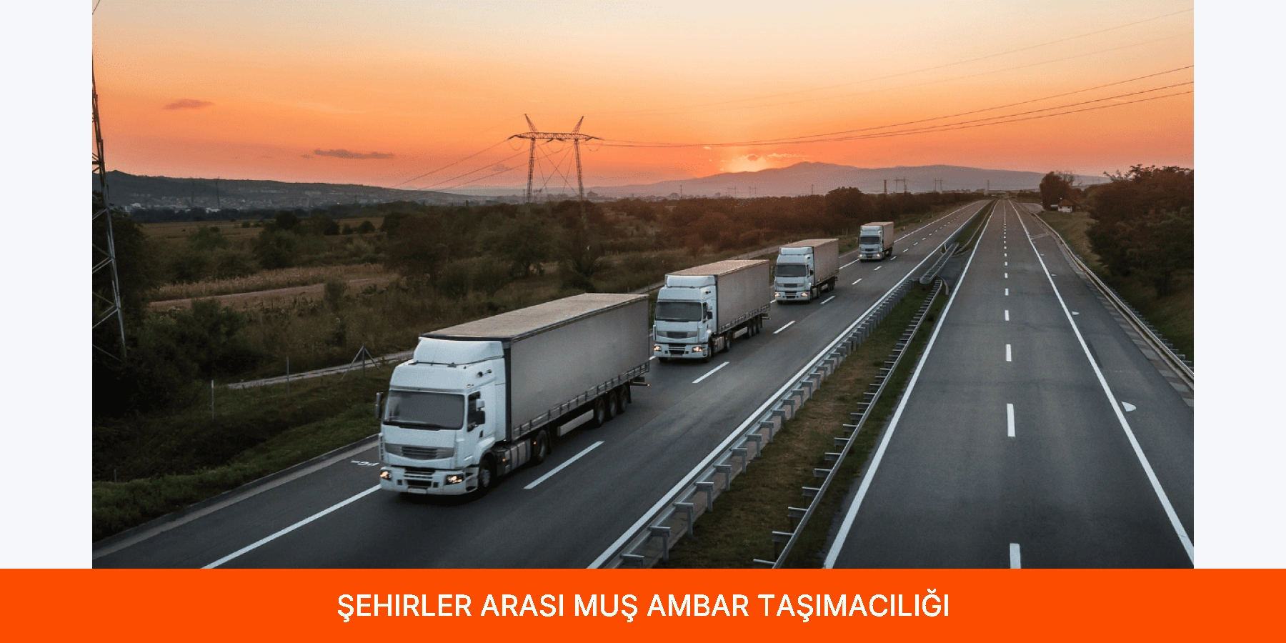 Şehirler Arası Muş Ambar Taşımacılığı