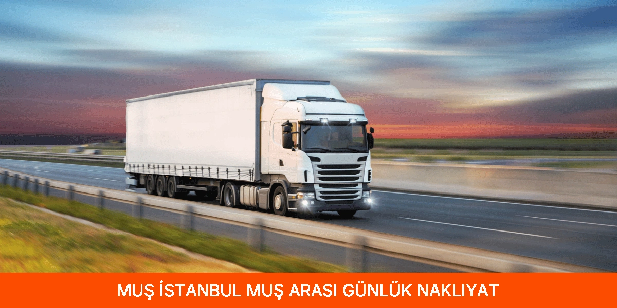 İstanbul Muş Arası Günlük Nakliyat