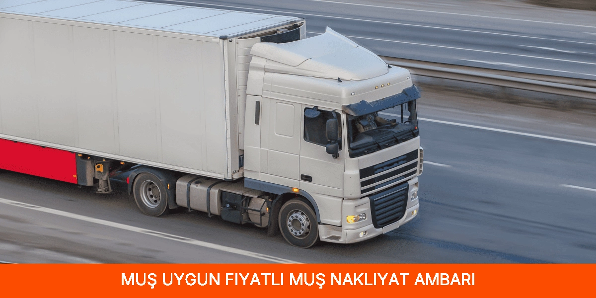 Uygun Fiyatlı Muş Nakliyat Ambarı
